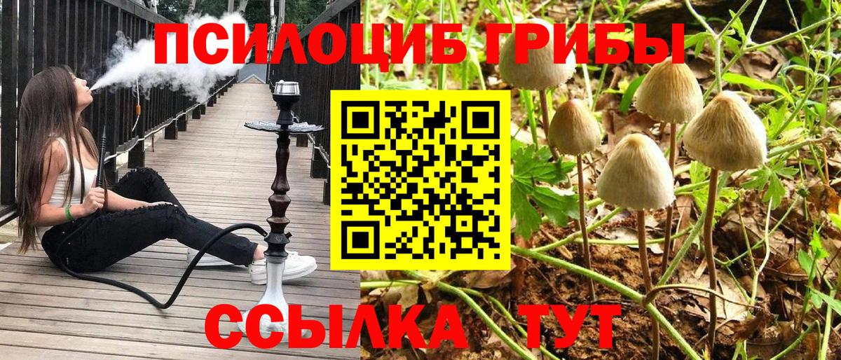 Псилоцибиновые грибы ЛСД  Вход с VPN  Карпинск 